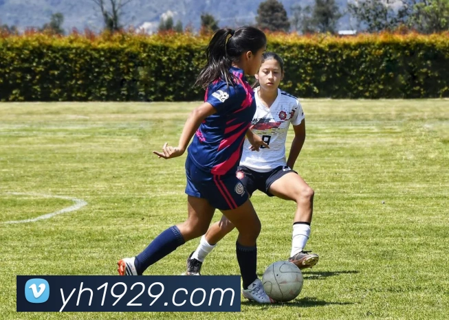 澳门银河娱乐网站APP 封面图